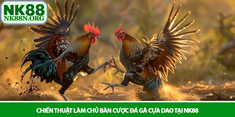 Đá gà cựa dao - Trận quyết chiến sinh tử tại nhà cái NK88 3 Chiến thuật làm chủ bàn cược đá gà cựa dao tại NK88